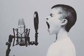 Voice Artist